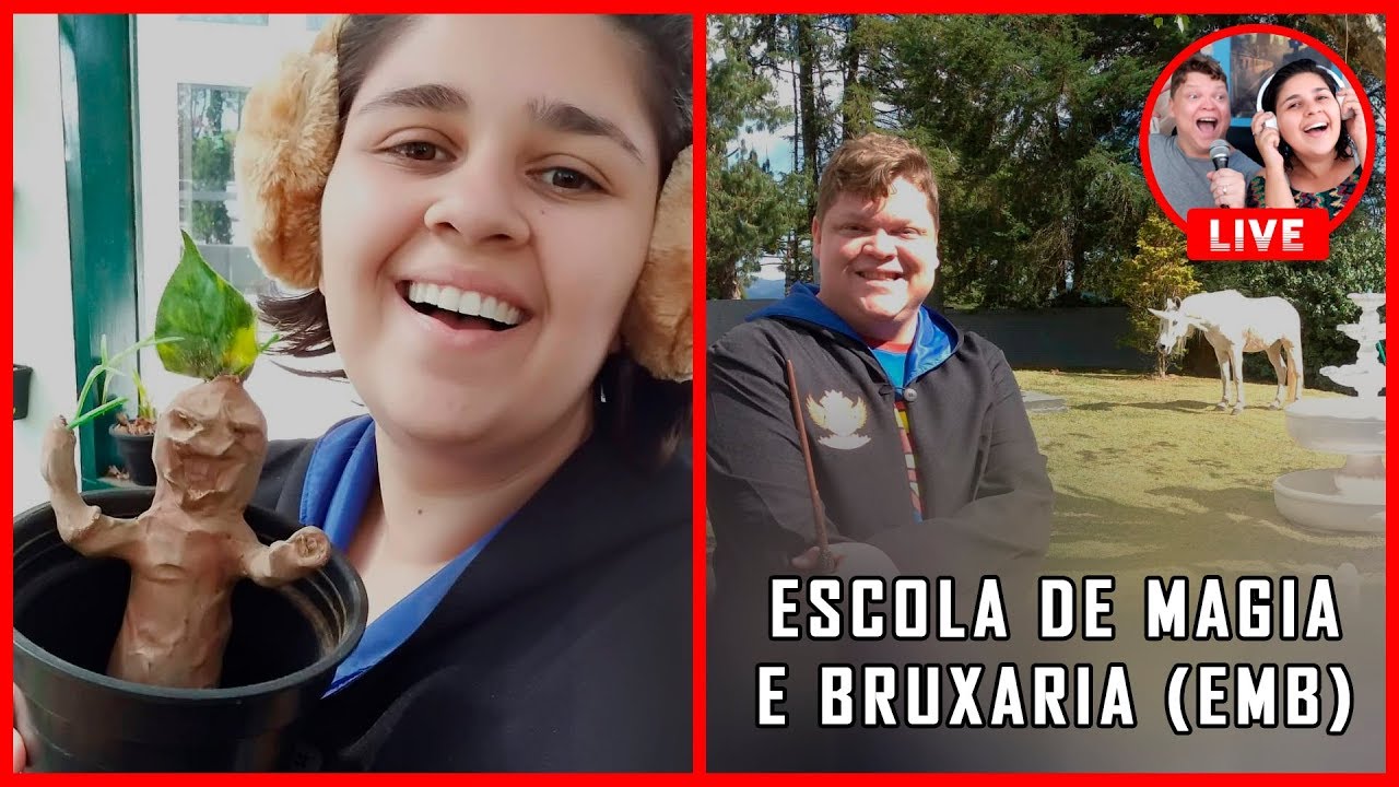 TUDO SOBRE A ESCOLA DE MAGIA E BRUXARIA DO BRASIL - EMB ✨ | COXINHA NERD