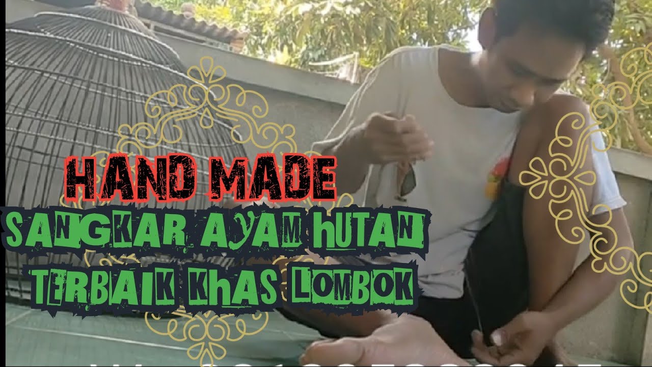 Sangkar Ayam Hutan Terbaik Khas LOMBOK