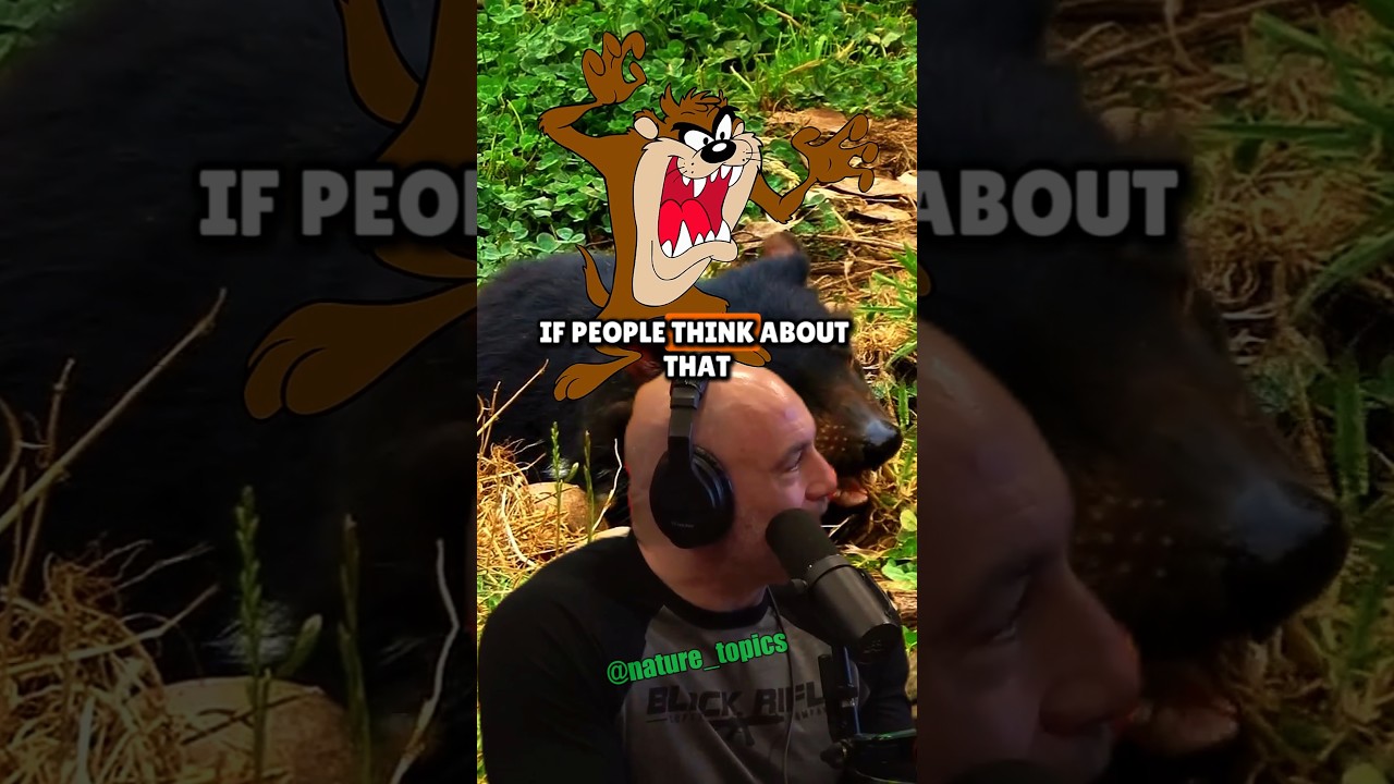 Вот как выглядит настоящий тасманийский дьявол — Джо Роган и Форрест Галанте