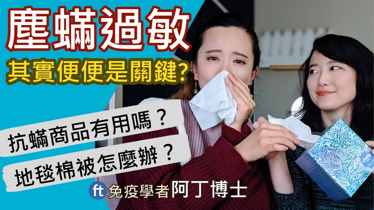 塵蟎過敏怎麼辦？除濕機、抗塵蟎商品有用嗎？地毯棉被該怎麼處理？