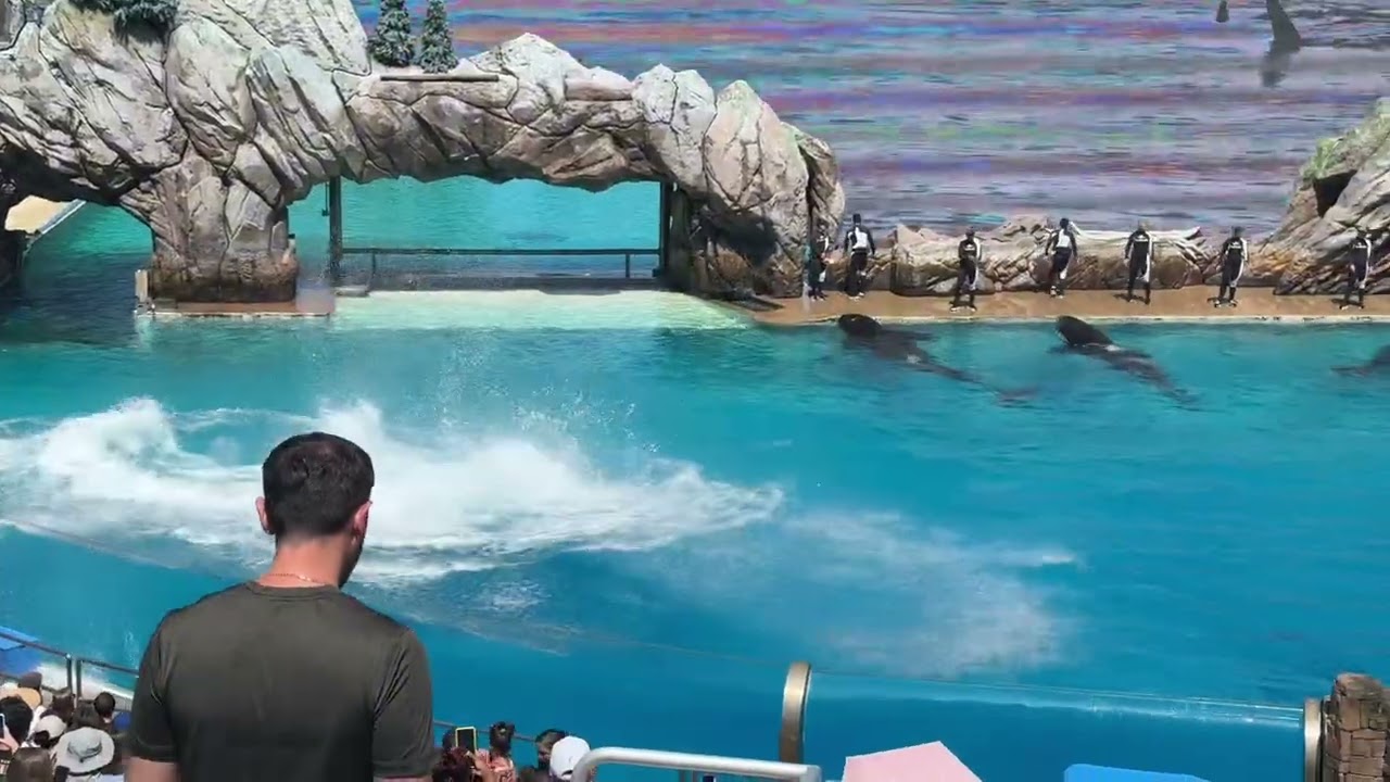 ARCO SHOW - Sea World San Diego 8/2025 