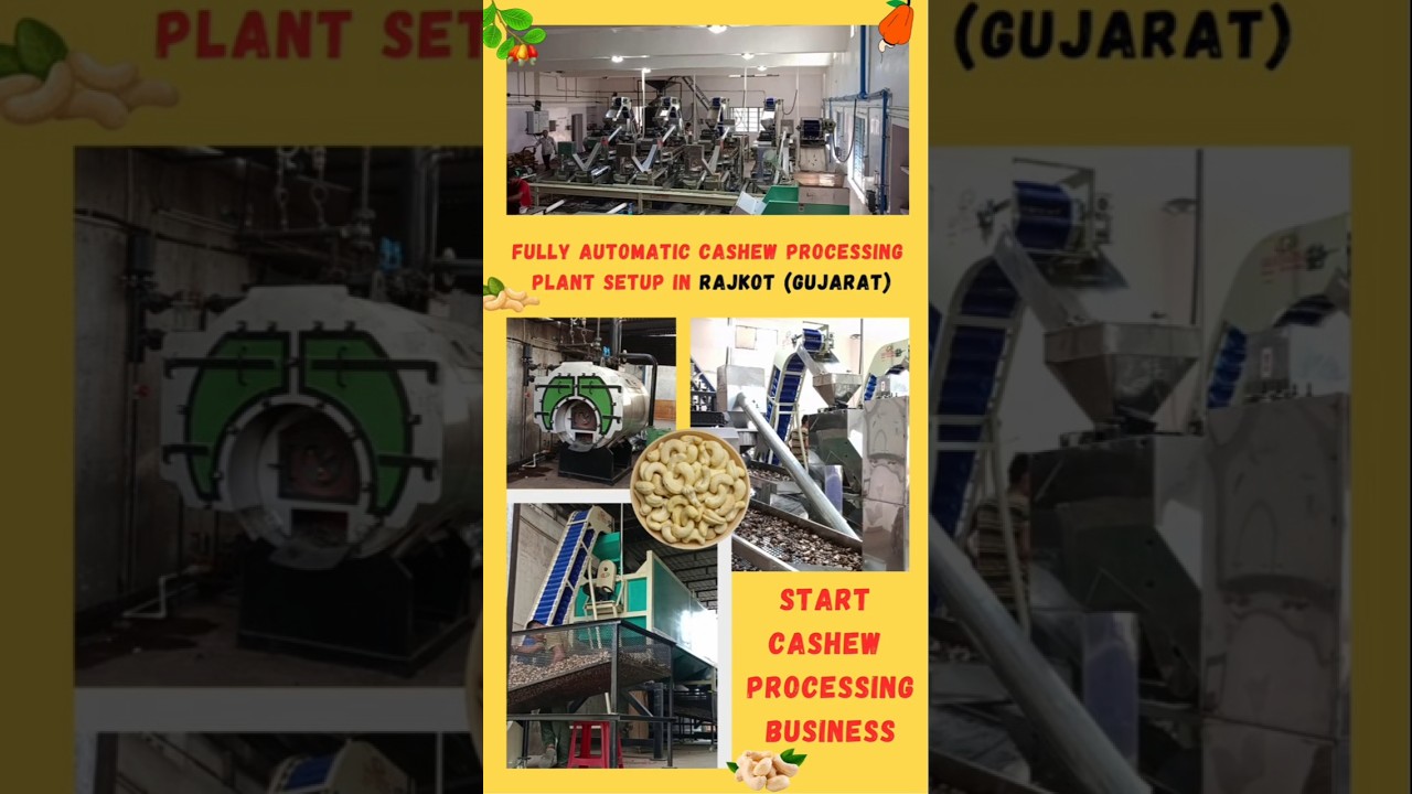 Modern Technology Cashew Processing Plant🏭Fully Automatic Turnkey Cashew Processing Plant 