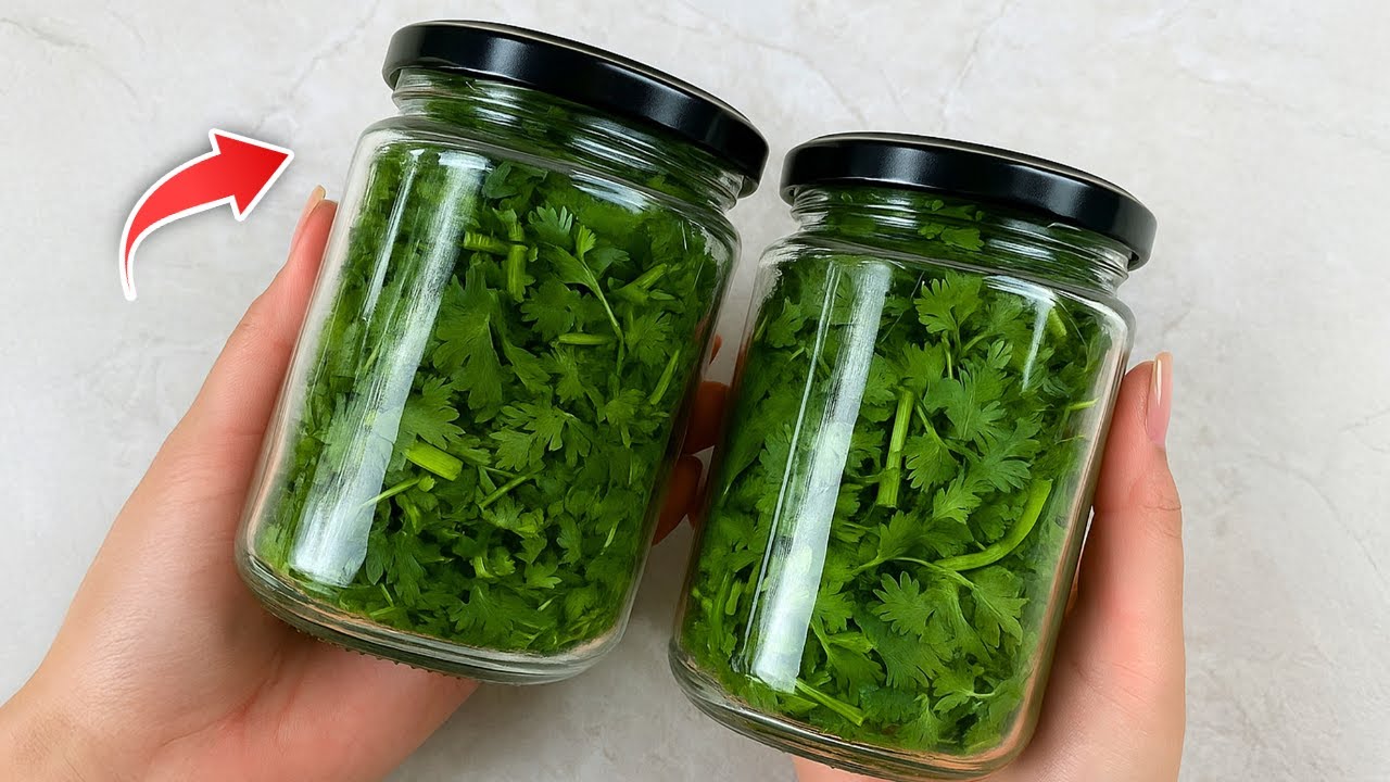 Как хранить кинзу в течение 1 года без порчи