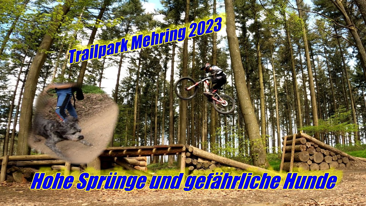 Trailpark Mehring 2023 | Vorsicht ! Hundeangriff auf Trail | Alle Strecken und Große Gaps | 4K