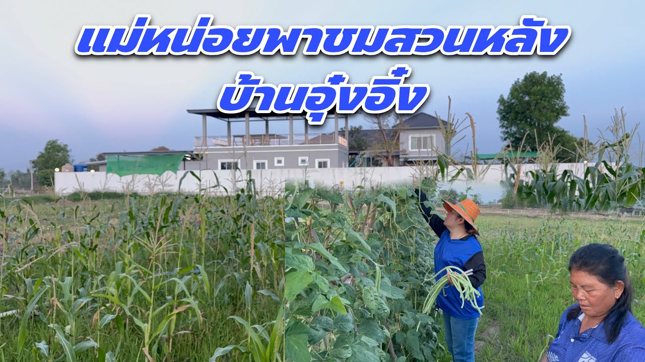 แม่หน่อยพาชมสวนหลังบ้านอุ๋งอิ๋ง
