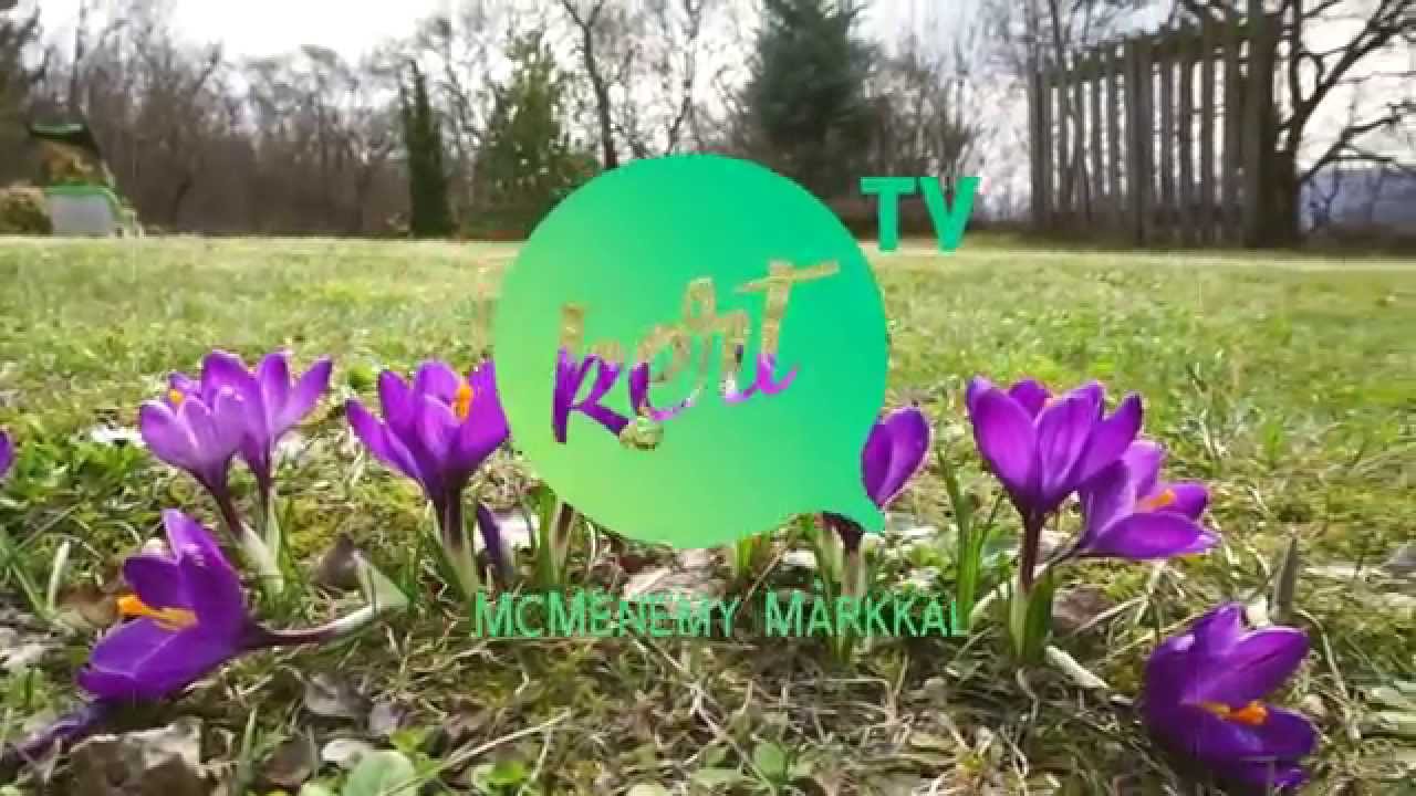 Otthon a kertben - Befőtt es l&aacute;mp&aacute;s - 1. r&eacute;sz