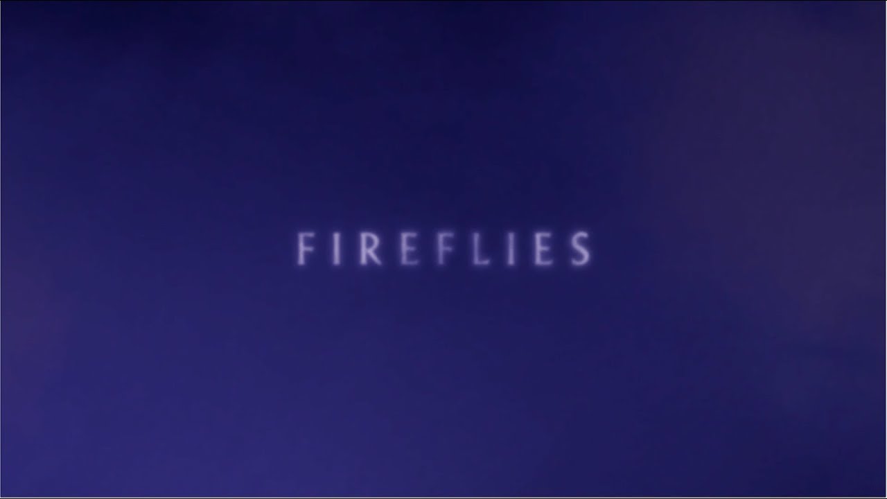 Nick Cave and The Bad Seeds - Fireflies (Official Lyric Video)