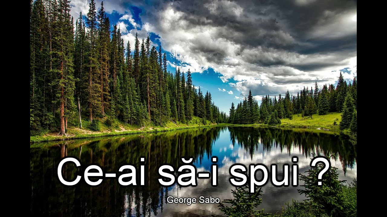 Ce-ai sa spui ,ce-ai sa spui? George Sabo
