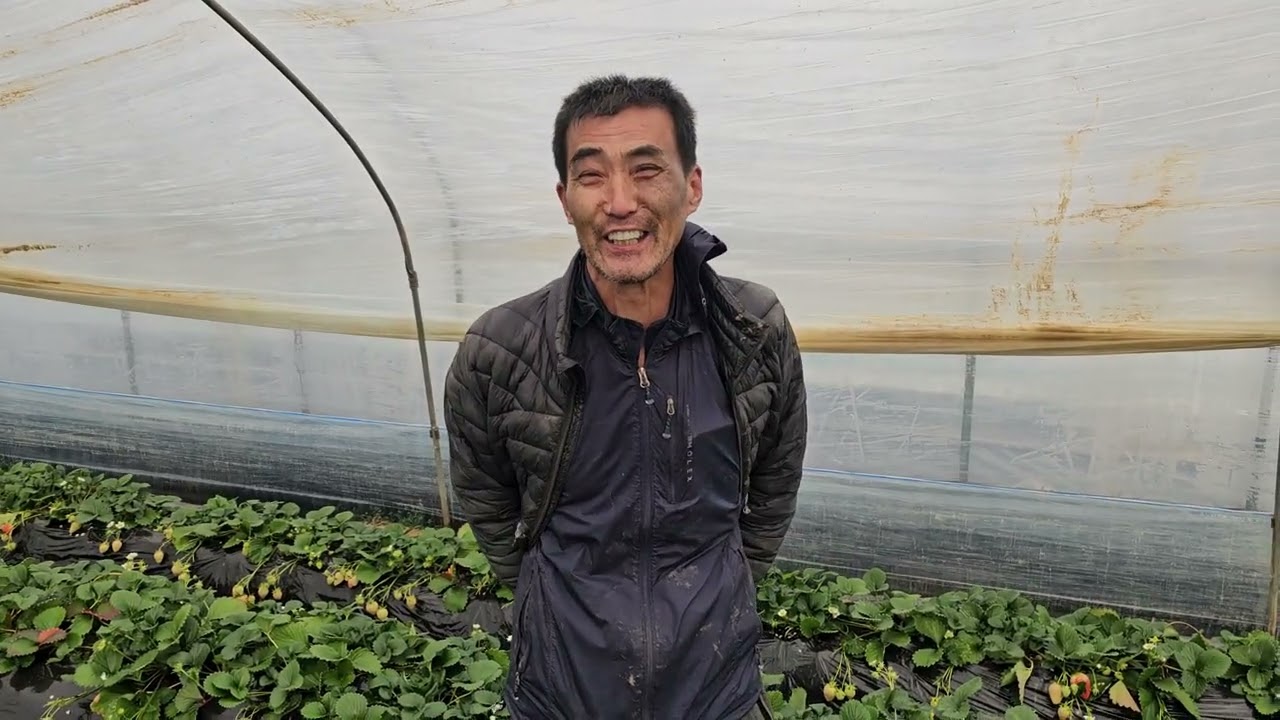 2026년 2월 24일