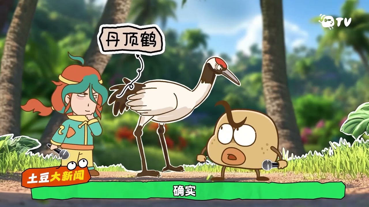 16 西沙群岛什么样：《富饶的西沙群岛》Free Chinese Class Cartoons#chineselanguage #chineseanimation