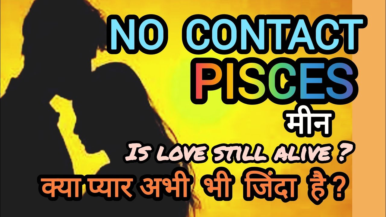 PISCES मीन🥹NO CONTACT l Is love still alive? क्या आपका प्यार अभी भी जिंदा है ? Tarot reading FEB