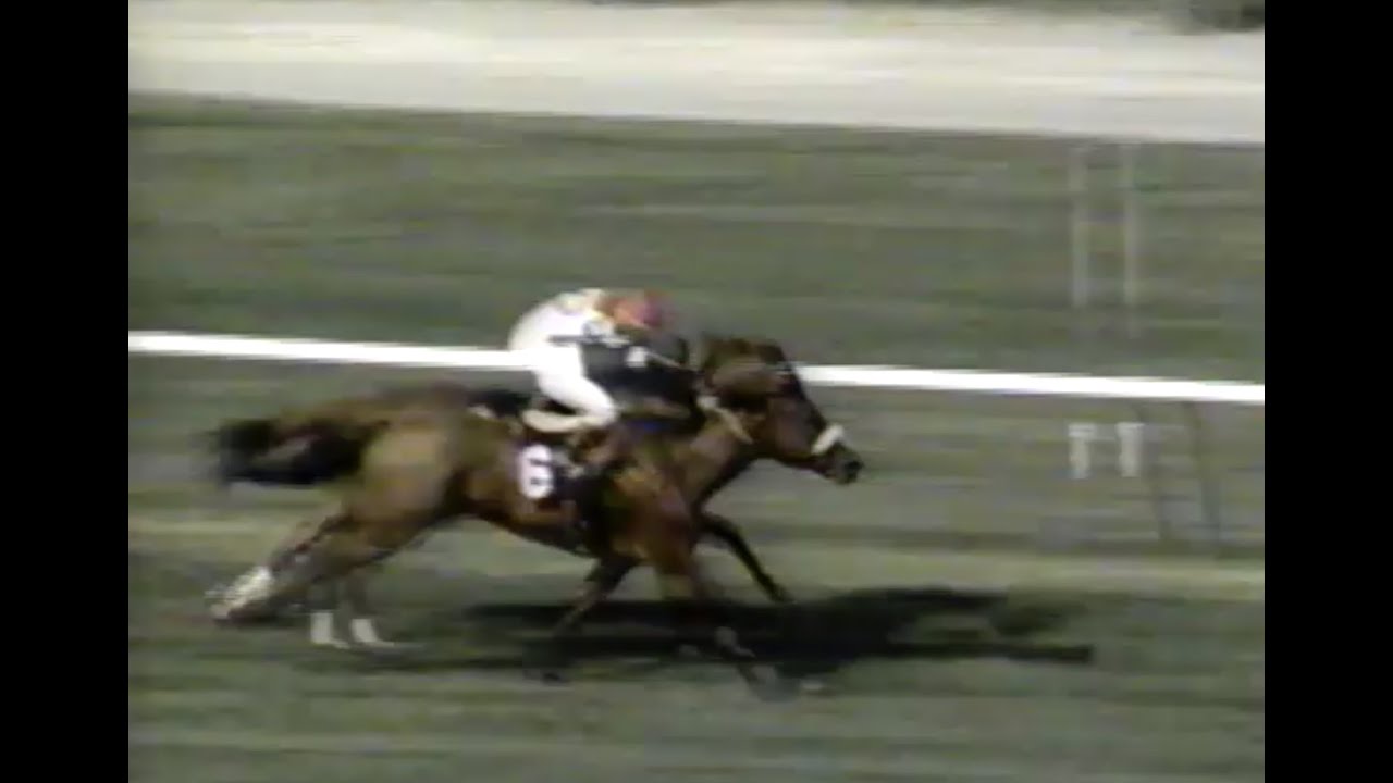 Saratoga & Belmont Racetrack Horse Racing Mid 1990s Live TV Capture Home Video Tape Rip (VHS)