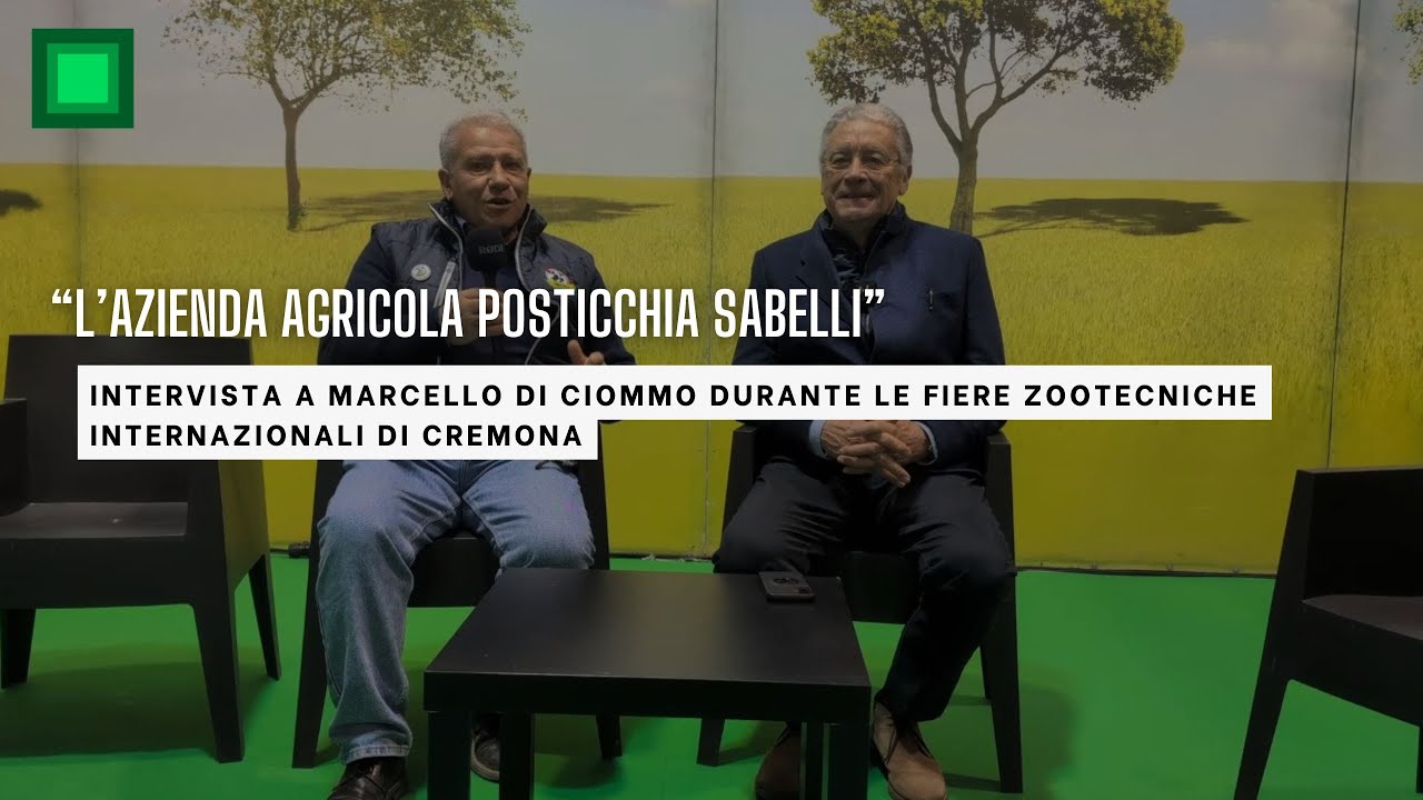 La storica Azienda Posticchia Sabelli e il profondo rapporto con la terra