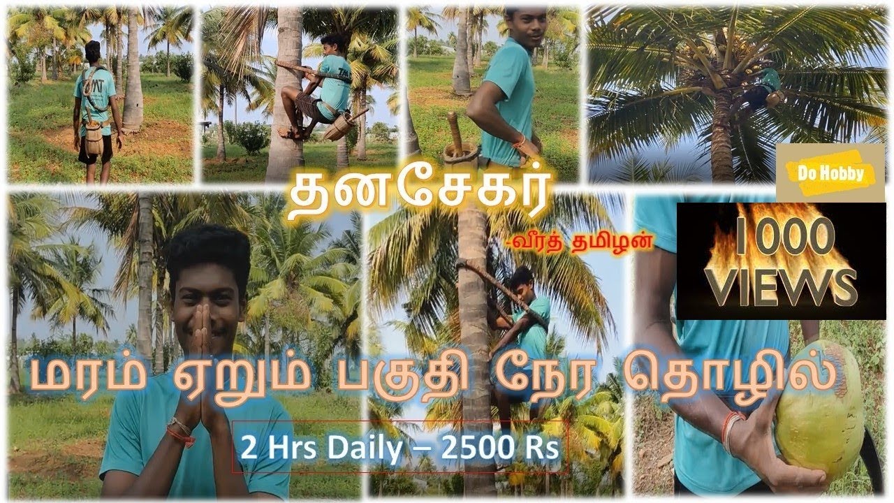 DoHobby | Coconut Tree Climbing | 2 hrs work - 2500 Daily? is it? | Farmer India