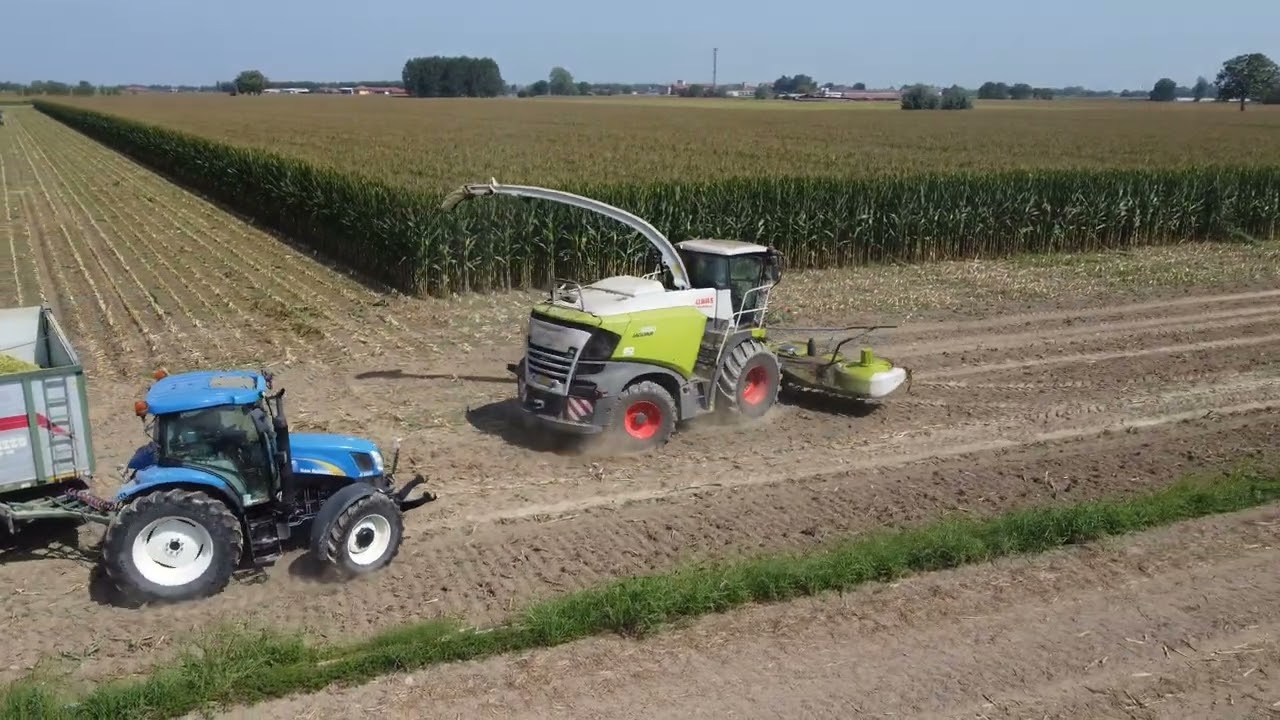 Corn Silage 2023 - Super mais Sy Bambus da 900 quintali ad ettaro e Class Jaguar 980