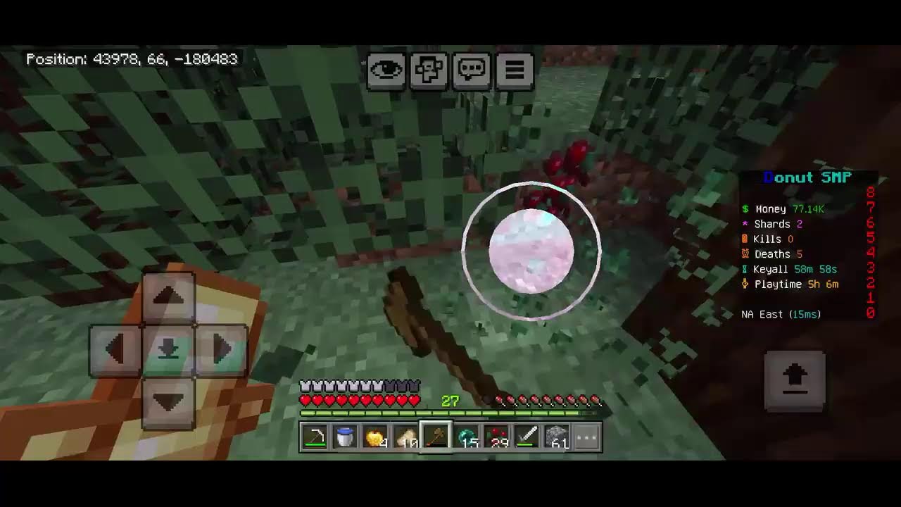 Playing donut smp