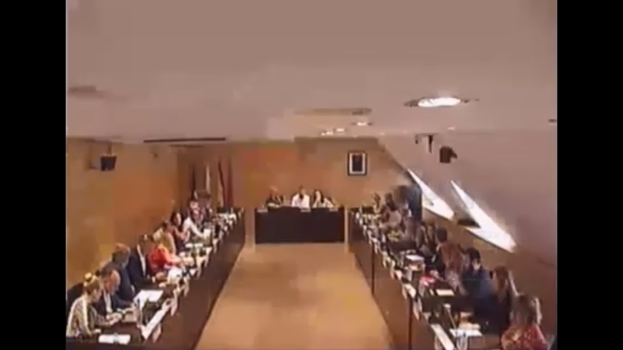 Pleno sesión ordinaria 5 de marzo 2025