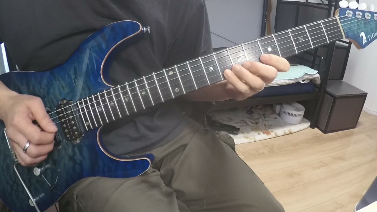 心悸 (陰陽座) (Guitar cover)