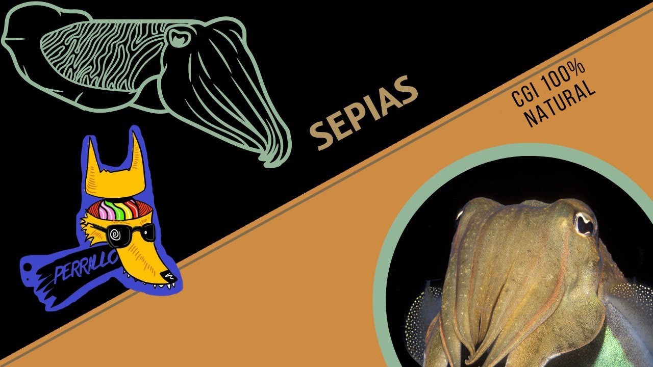 Sepias: ¿Qué es esa loquera, mae? | Ep 95| CULTURA COLMILLUDA