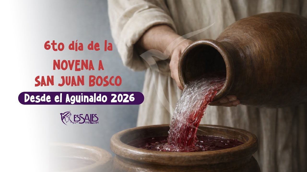 Novena en Honor a San Juan Bosco 2026: 6to día - ESSALES