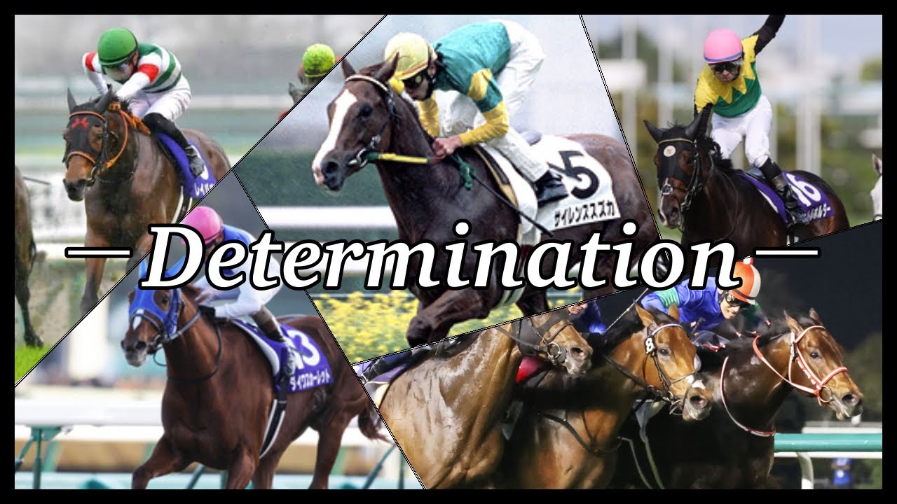【競馬MAD】Determination〜麗しき逃亡者たち〜