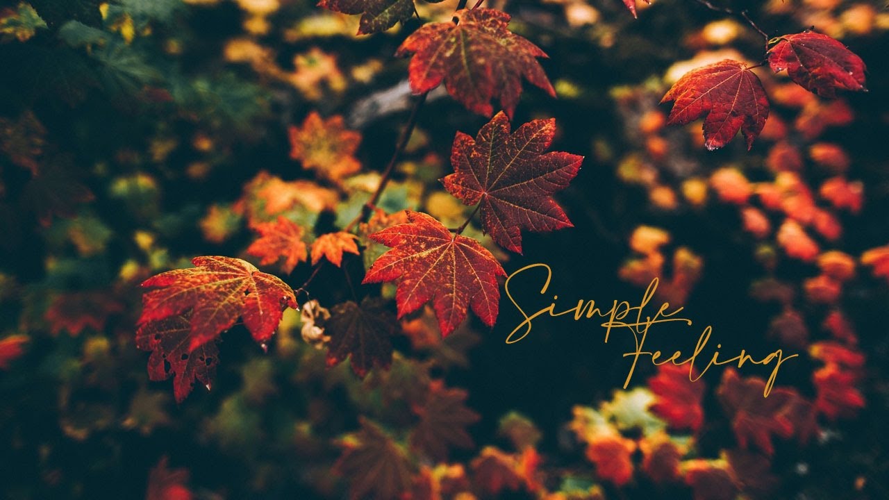 Light One - Simple Feeling