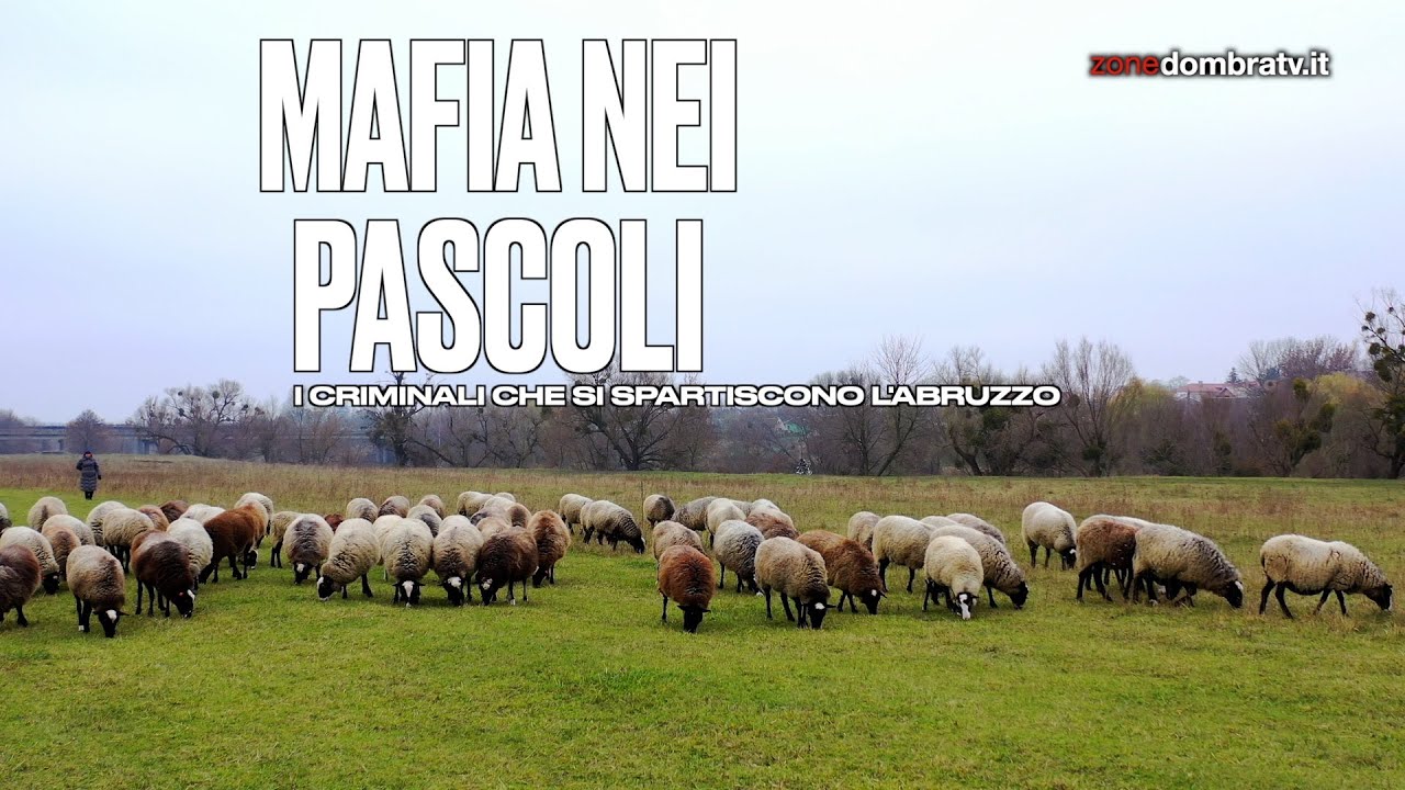 Mafia nei Pascoli: come le mafie si spartiscono l'Abruzzo