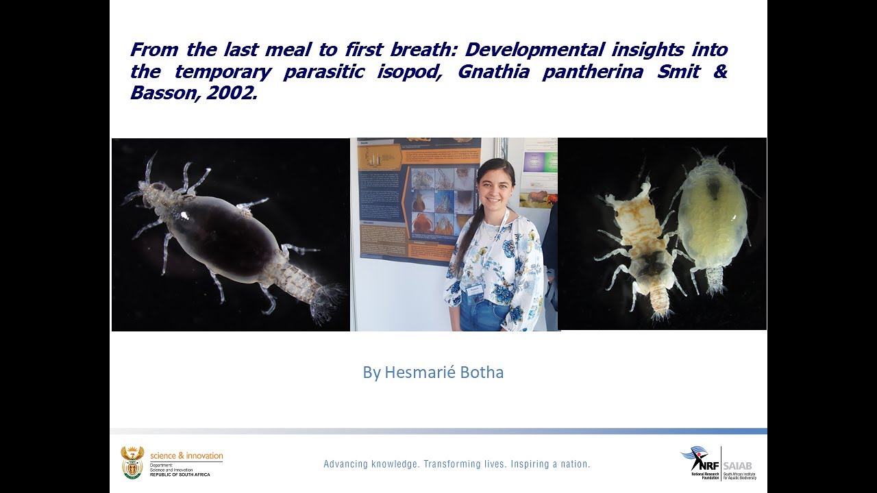SAIAB Seminar Series: Hesmarié Botha