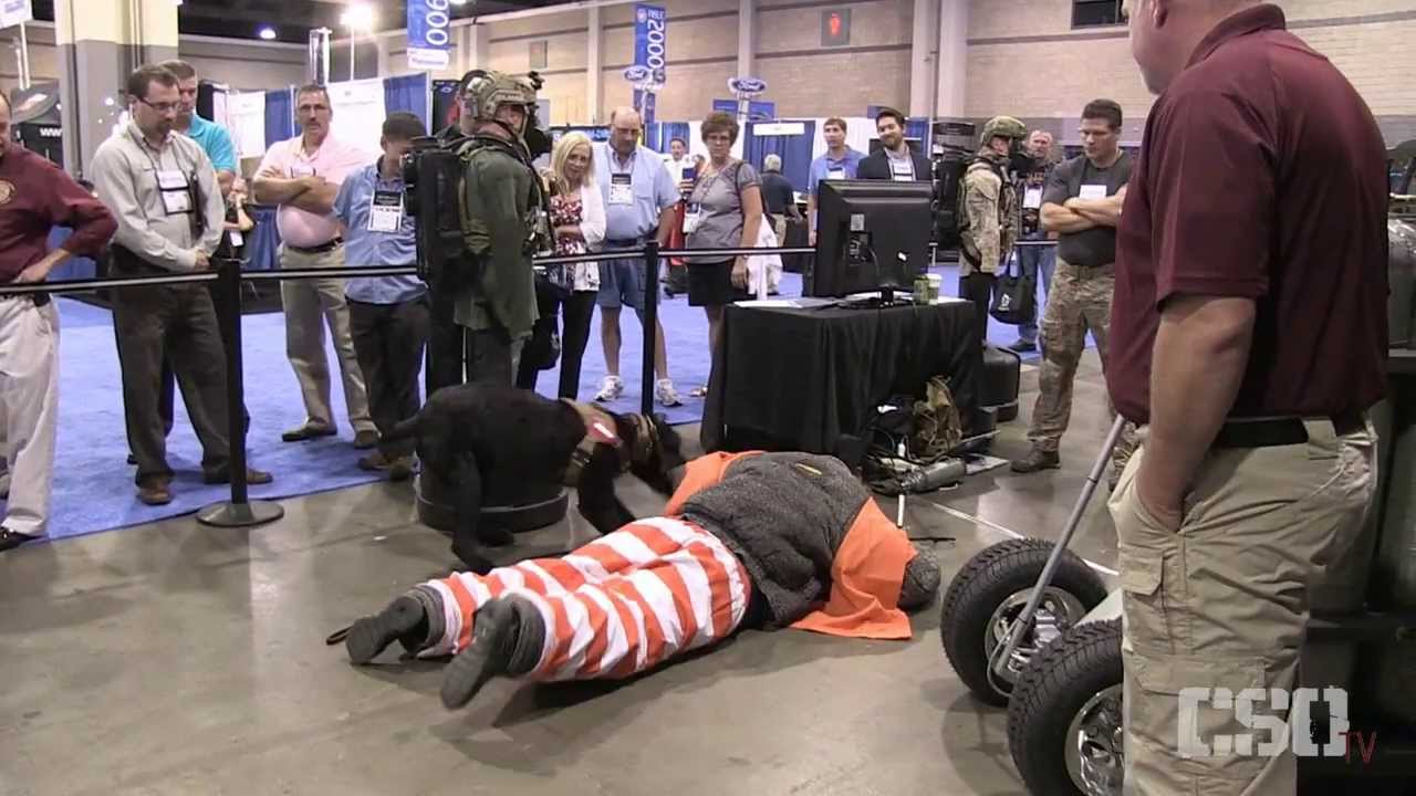 CSO K9 Team