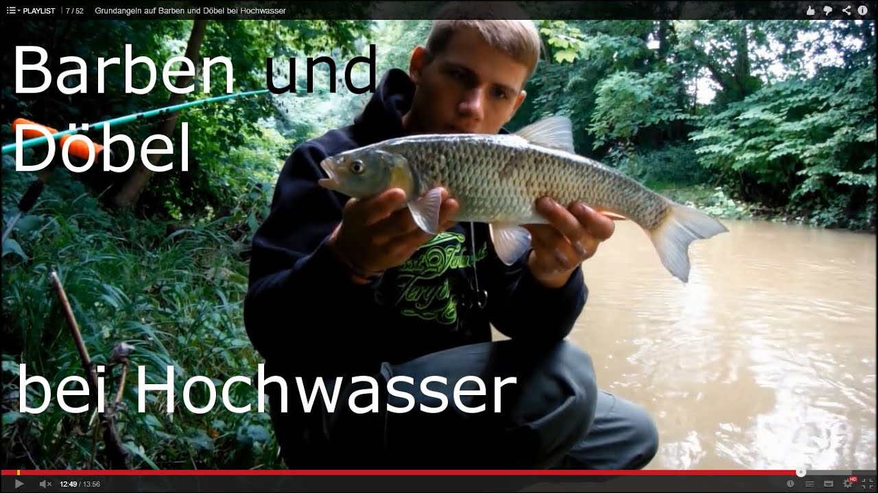 Grundangeln auf Barben und Döbel bei Hochwasser
