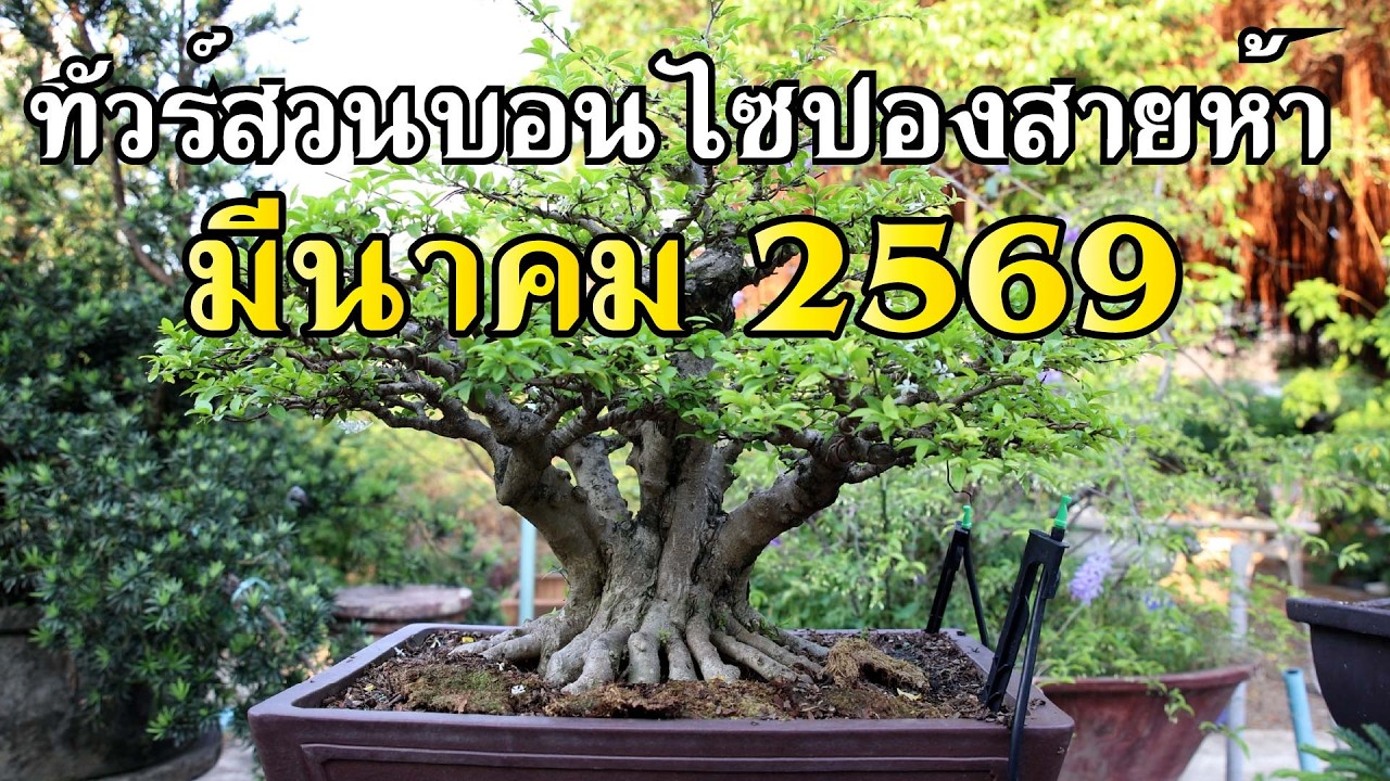 ทัวร์สวนปองสายห้า มีนาคม 2569 [Tour Station] EP.53