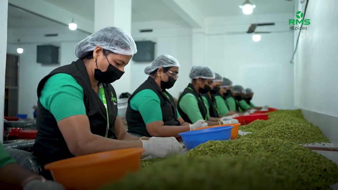 RMS Spices &ndash; Bringing You the Best Cardamom from Idukki&rsquo;s Finest Farms!
