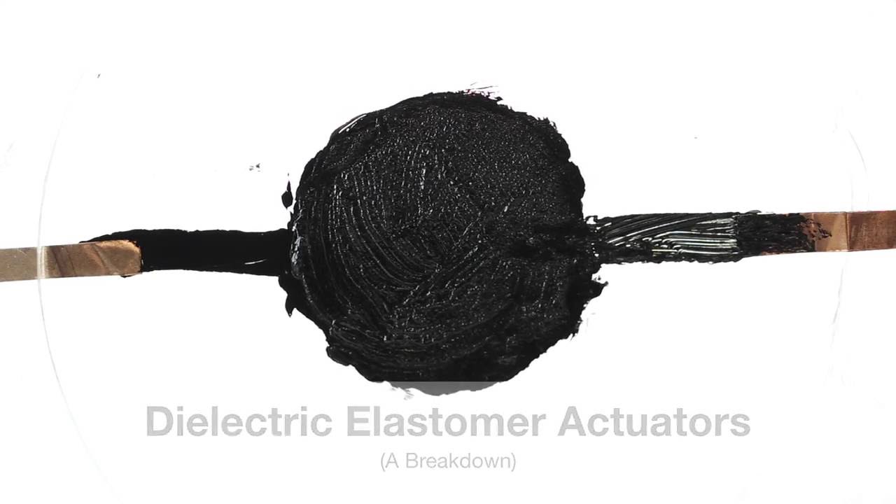 The Basics of Dielectric Elastomers