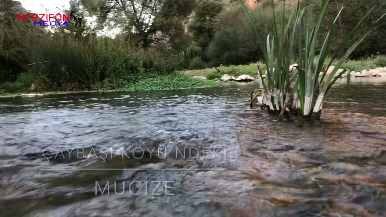 Çaybaşı Köyünde mucize