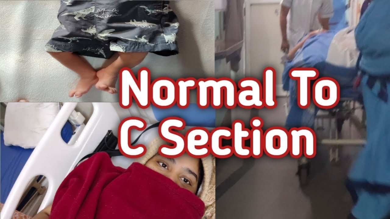 Hyderabad VIJAY MARIE HOSPITAL Vlog || Tasleemahmad Vlog 