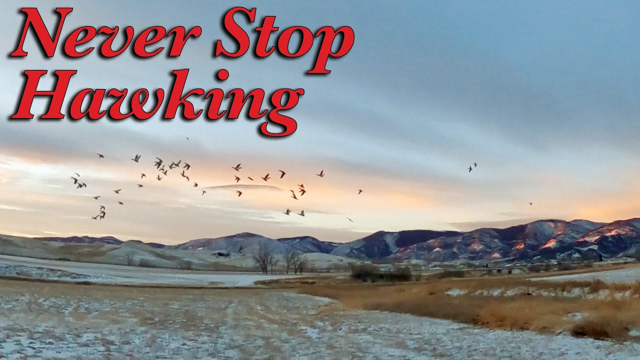 Never Stop Hawking (December 30, 2025)