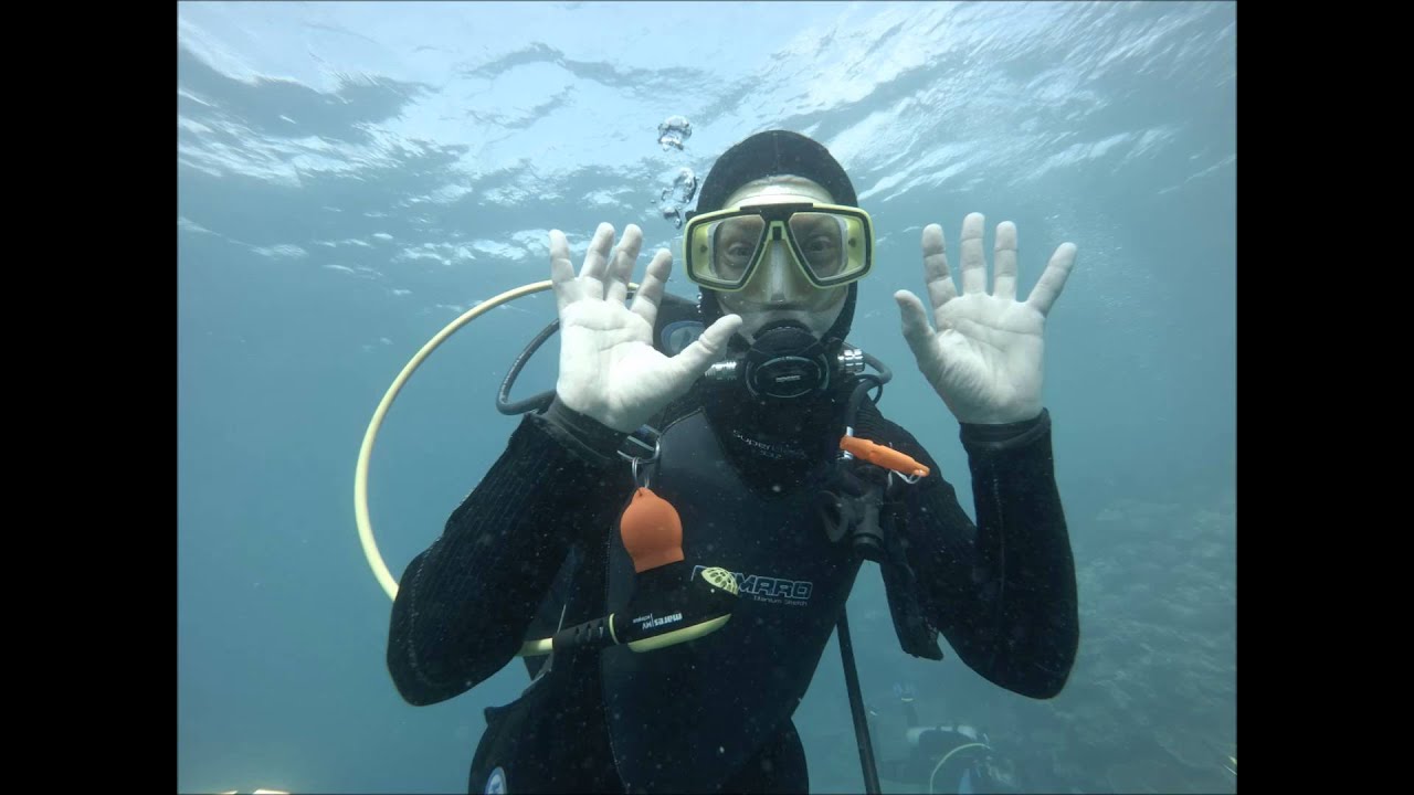 GoPro - Palau