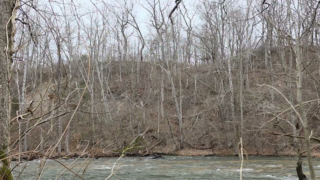 End of winter tranquility 