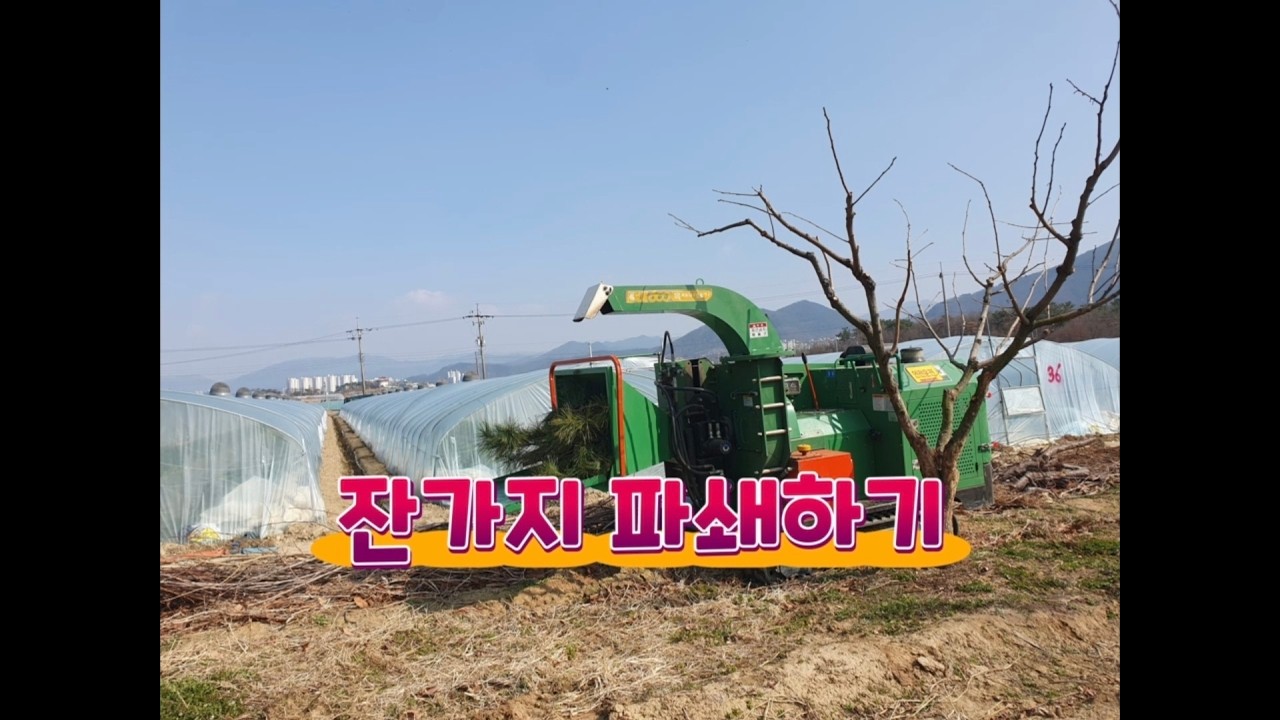 겨울동안 잘라놓은 나무 잔가지 파쇄기로 파쇄합니다.