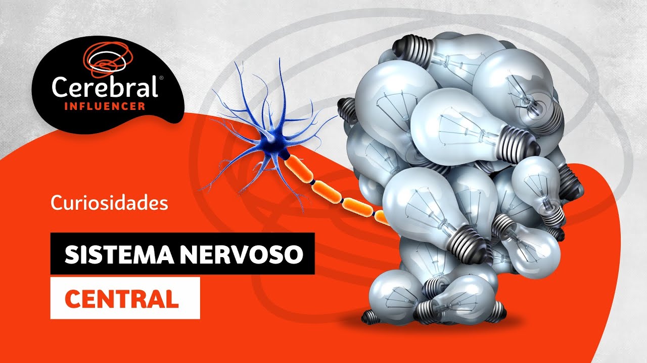 Curiosidades sobre o Sistema Nervoso Central (Cerebral Influencer) - Psicologia e Neuropsicologia