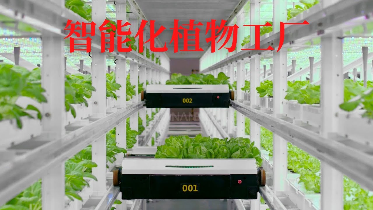 农业 2022: 种植 2022｜智能化植物工厂｜GET Agriculture