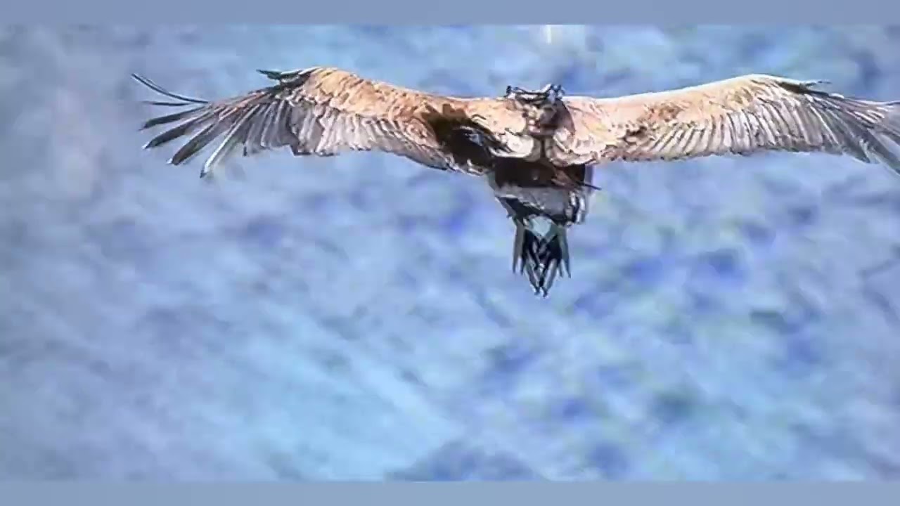 Plasencia y algo más 