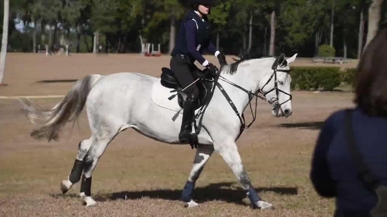 Magic Carpet (Jasmine) ** First XC School of 2026