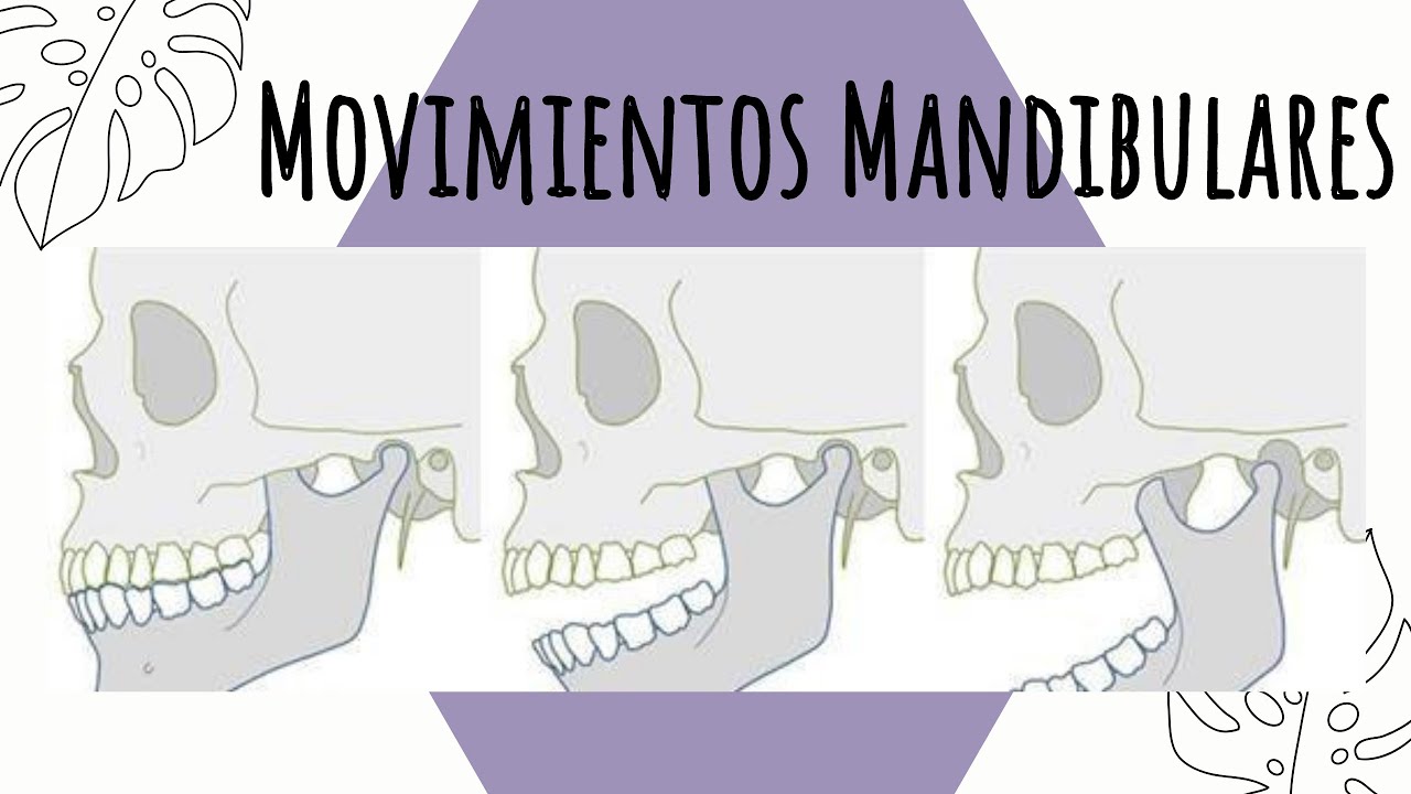 Movimientos mandibulares / Diagrama de Posselt.