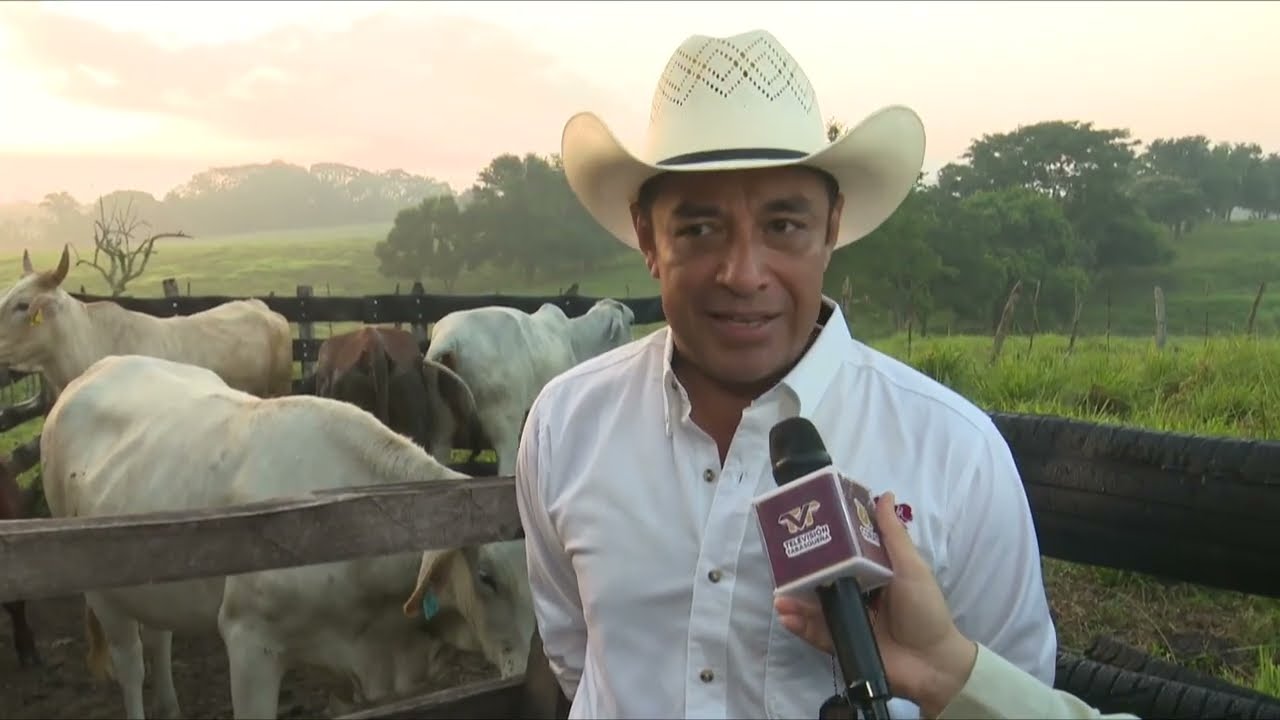 Nuestro Campo | Episodio Diagnostico de Gestación