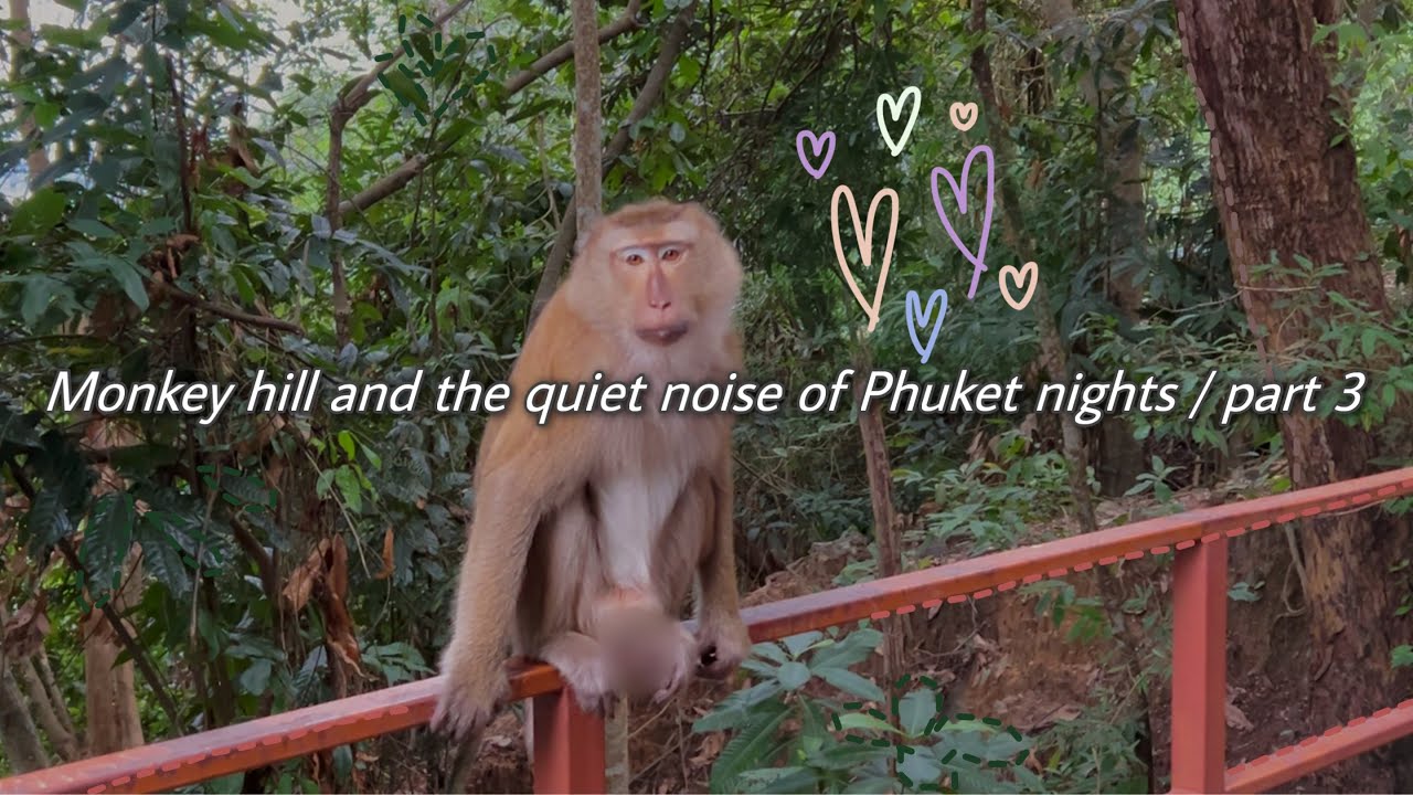 sub| Ep.45. Monkey hill and the quiet noise of Phuket nights