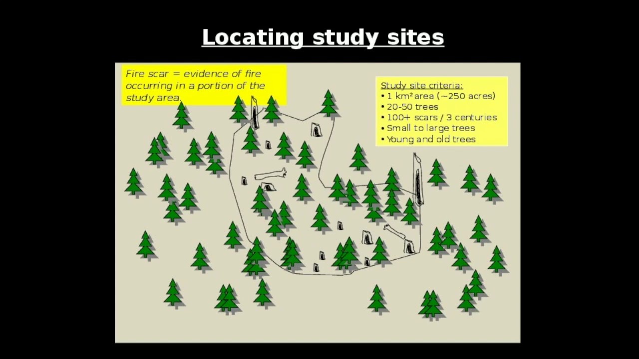 Webinar: Wave of Fire (Fire History of Pennsylvania)