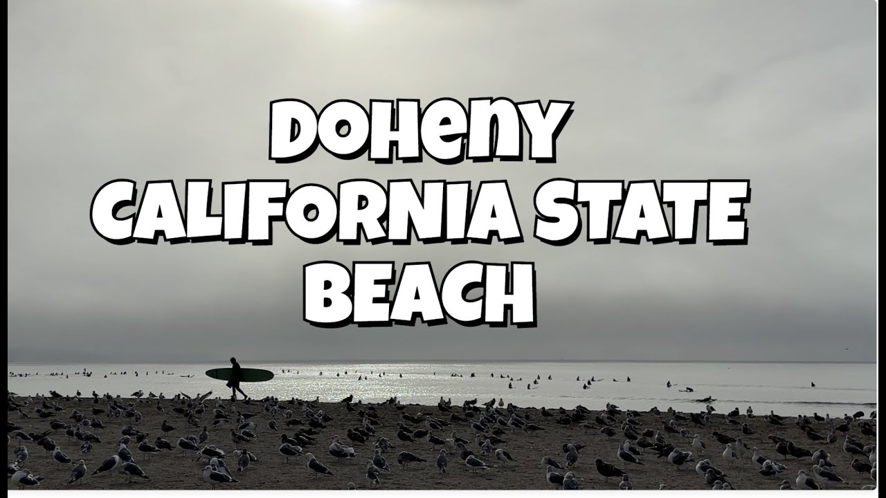 Relaxing Reggae at Doheny California State Beach and Dana Point Marina
