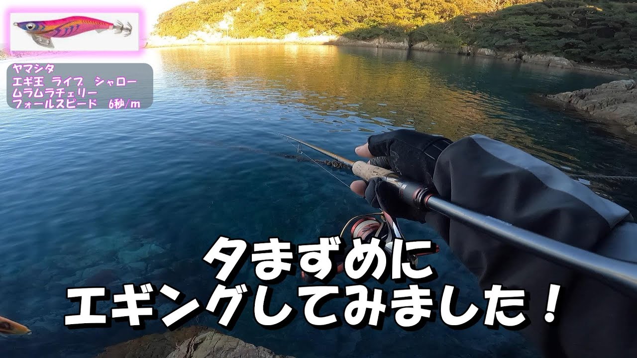 【エギング】夕まずめのエギング！