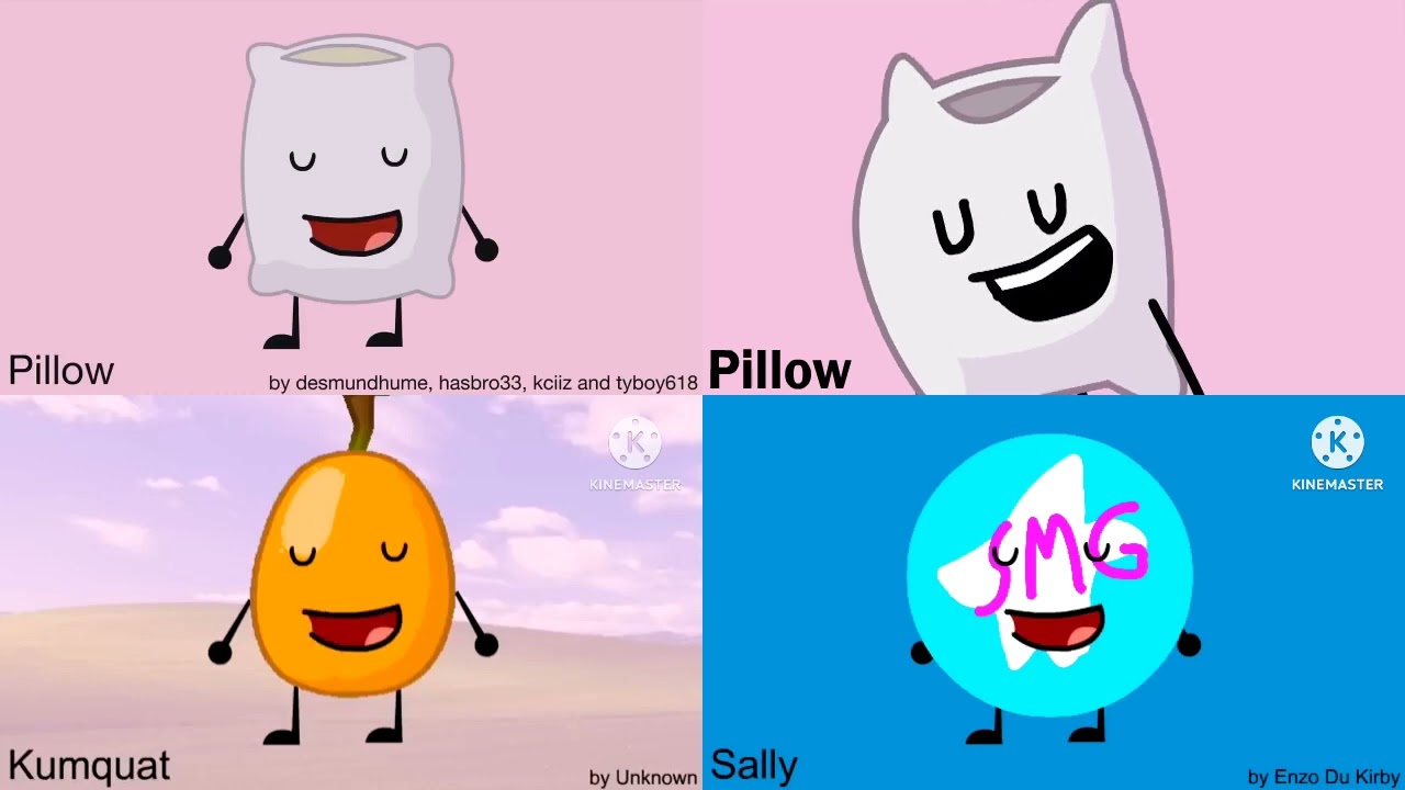 4 BFDI Auditions #1 REMAKE